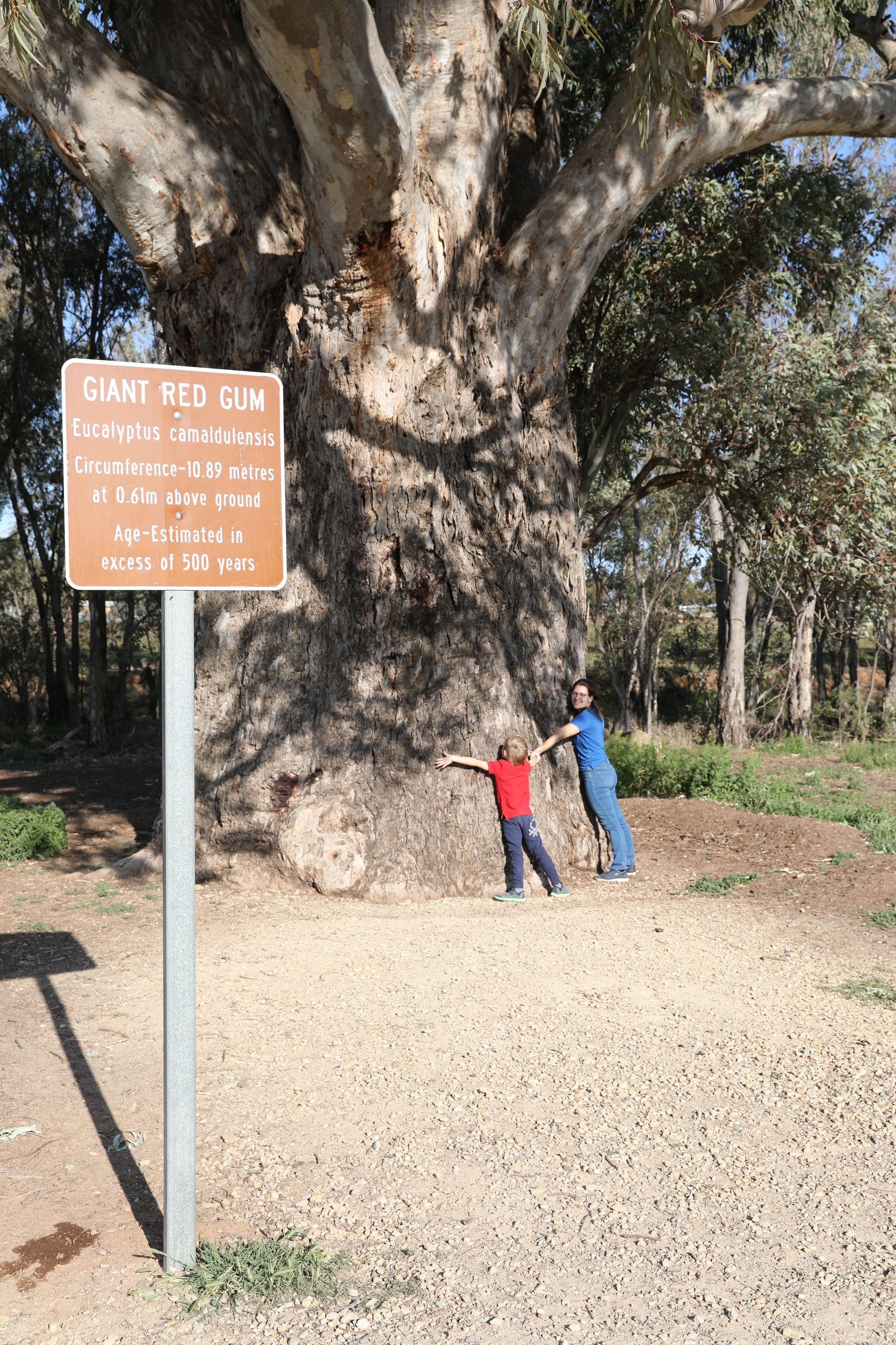 2019 08 31 15 34 48 Canon EOS 5D Mark IV 0018